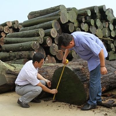 Neues Design der künstlichen Zedernholz Veneer FCW-L146N/L246C Slice Cut Technik 2 * 8 Zoll für Kabinett Gesicht