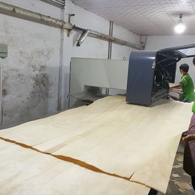 High-End Recon Holz Veneer Natur Walnuss Wt-X873n 2850mm Länge Für Tür Dekoration Blatt China Factory