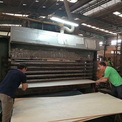 High-End-Wolkenverschleierung Silberpfeil SI.AW-X8023 Drei-Dimensional-Korn für Hoteldekoration China Factory