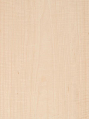 Elegantheit in den Raum bringen Ahorn Veneer-Panels Flocculenten Schatten Textur Manifestationen