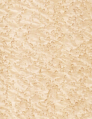 Elegantheit in den Raum bringen Ahorn Veneer-Panels Flocculenten Schatten Textur Manifestationen