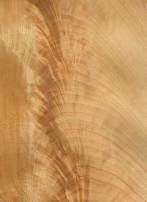 Natürliche amerikanische Kirschholz Veneerschicht Flachschnitt 2200-3200mm Normalgröße Für Möbeldekoration