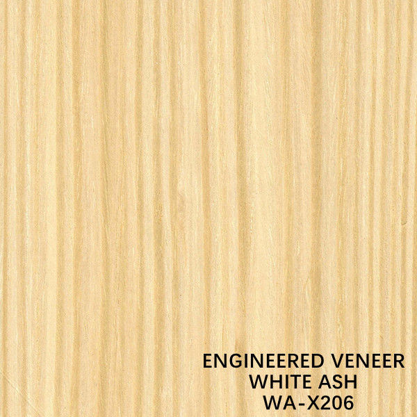 Neu angeordneter weißer Ash Wood Veneer Sheets mit einem - Schnitt des Viertel-X206 für fantastisches Sperrholz