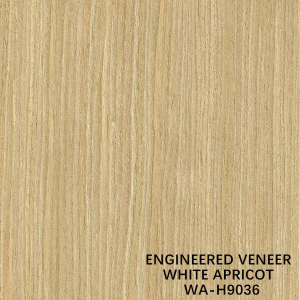 ISO der gerade Schnitt des Simulations-weiße Aprikosen-Furnierholz-H9036 für Kabinett-Gesichts-Hersteller From China