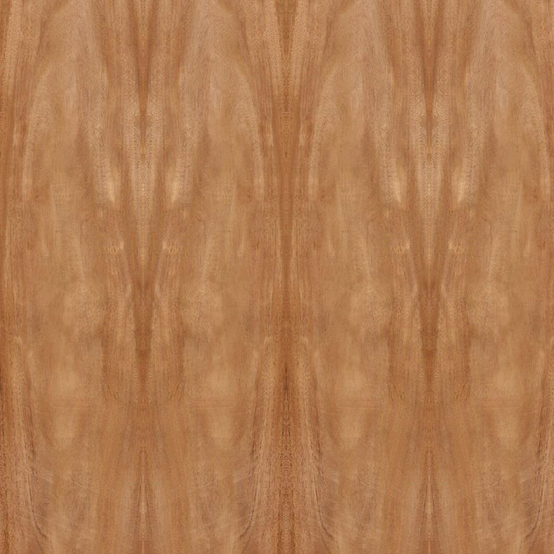 Natürliches Afrika-Mahagoniholz-Furnier-Blatt-Kronen-Korn-Standardgröße 2440*1220mm für Tür-Kabinett FSC