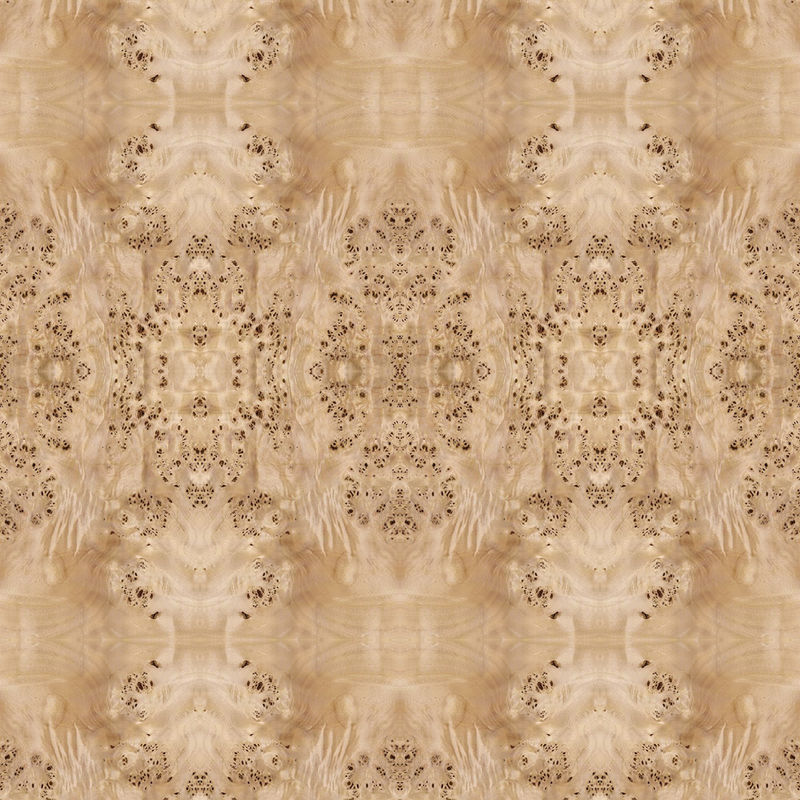 Fantastische Platte stellte natürliche weiße Pappel-Burl Wood Veneer For Hotel-Dekorations-2440/2745mm verlängerte Größen-China-Versorgung gegenüber