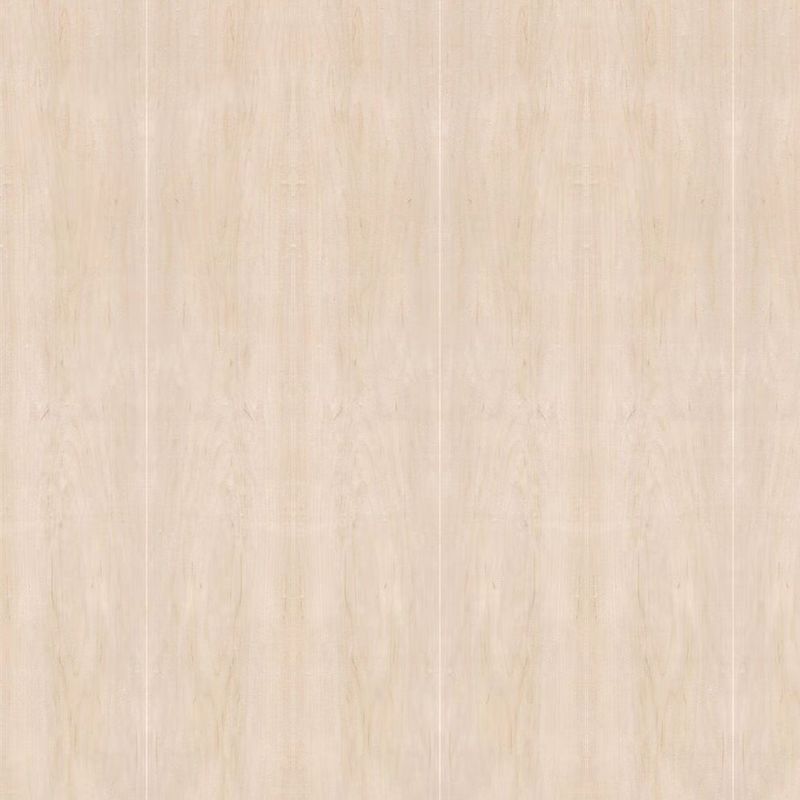 Gegenübergestellte natürliches Ahorn-Kronen-Furnierholz-Standardgröße 2440*1220 für Möbel-und Kabinett-China-Fabrik-ISO