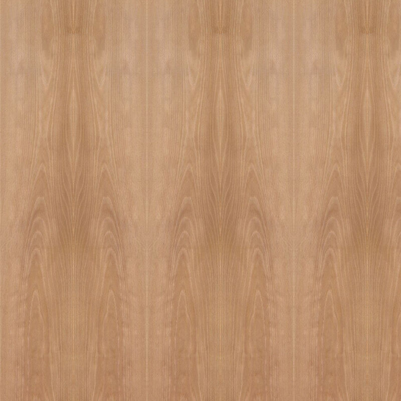 Fantastische Naturholz-Platte gedämpfter Buchen-Kronen-Standardgröße 2440*1220mm für Tür und guten Preis China Windows macht