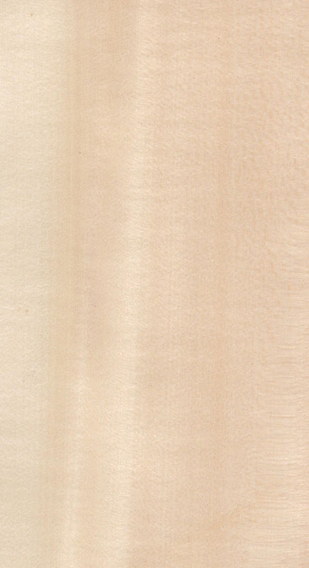 Echtes Holz Veneer Bassholz Schnitt für Größe 13cm Up Flach Schnitt gerade für Schrank Gesichtsblatt