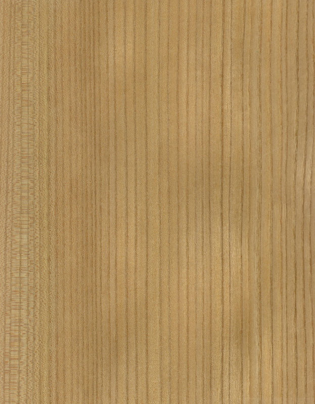 Massivholz amerikanische Elmblätter Klasse A für Viertelschnitt Kronenkorn Natürliche Farbe für Türfläche 3200mm nach oben