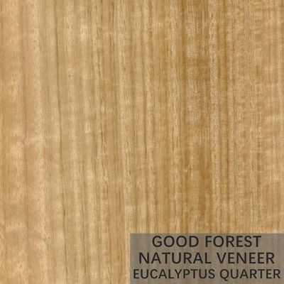 Natürliches Eukalyptus-Furnierholz-populäres vertikales Korn-Furnier-Blattsperrholz