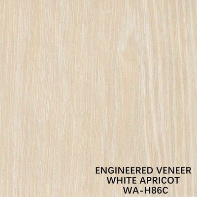 Schnitt weiße Aprikose ausgeführte Scheibe des Furnierholz-H86C Techniken für Wandverkleidung