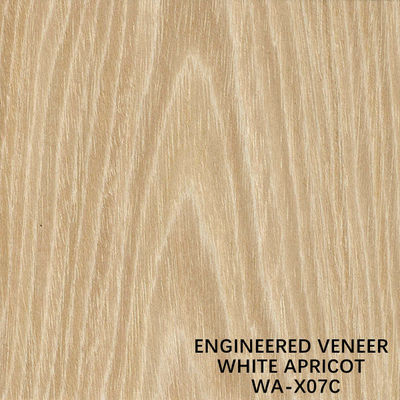 Natürliche Krone der Aprikosen-X07C schnitt künstliches Furnierholz für Deckfurnier der Tür/des Kabinetts