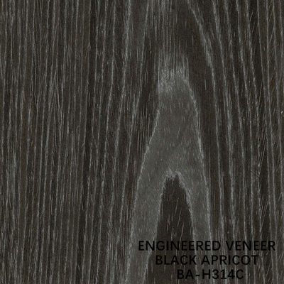 Möbel, die schwarze Aprikose Furnierholz H314C ausführte, schnitten flach Kronen-Korn 2500-3100mm