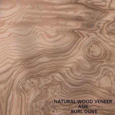 Ungewöhnliche natürliche weiße Asche Holz Veneer Burl Oliven AA Grade für Wanddecken Dicke 0,5 mm