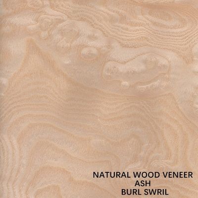 Natürlicher weißer Ash Burl Veneer Spiral Pattern Grain A Grad FSC für Hotel-Dekorationsstärke 0.5-0.55mm
