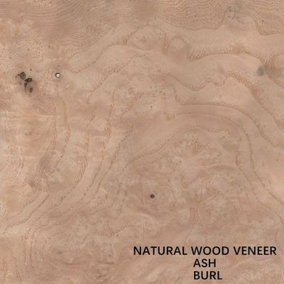 Guter Preis Hotel-natürlicher weißer Ash Veneer Wood Burl Grain-Stärke-0.55mm für für Hotel-Dekorations-China-Großhandel
