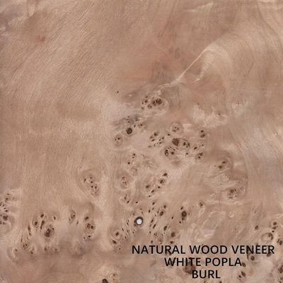 Natürliches Pappel-Furnierholz Mapa Burl Grain High Quality Thickness Europas 0.5mm für Musikinstrument