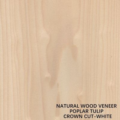 Tulip American Natural Poplar Wood furnieren die flache geschnittene Krone, die für Türen weiß ist