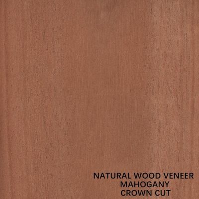 Möbel-und Musik-Instrument-natürliches Mahagonifurnierholz-flacher geschnittener Kronen-Schnitt