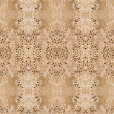 Fantastische Platte stellte natürliche weiße Pappel-Burl Wood Veneer For Hotel-Dekorations-2440/2745mm verlängerte Größen-China-Versorgung gegenüber