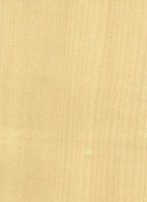 Elegantheit in den Raum bringen Ahorn Veneer-Panels Flocculenten Schatten Textur Manifestationen